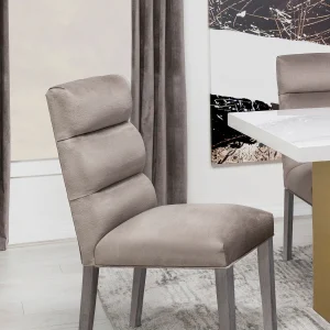 Carla Velvet Upholstered Dining Side Chair Ash (Set of 2)
