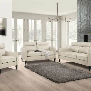 Jonah 2-3 piece Upholstered Track Arm Sofa Set