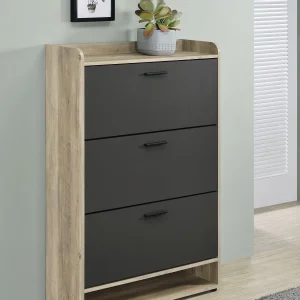 Denia 3-tier Engineered Wood Shoe Cabinet Grey