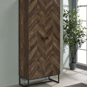 Carolyn 2-door Engineered Wood Accent Cabinet Rustic Oak